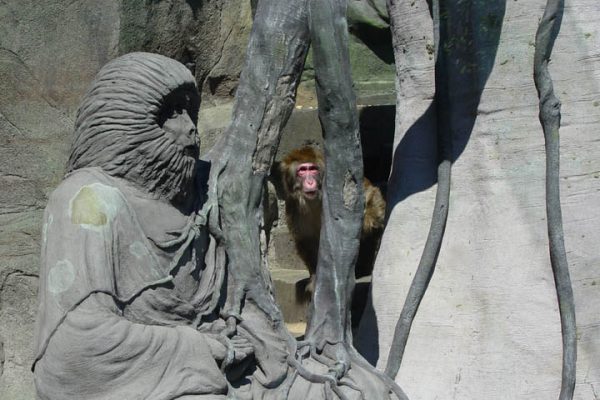 Lost Temple of Atlantis