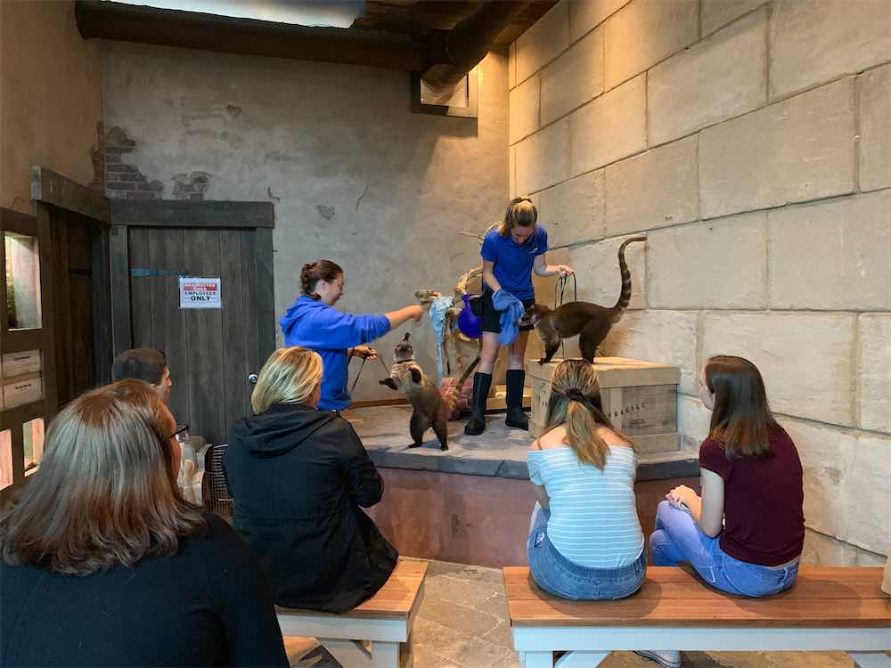 Trainers with Coati and audience